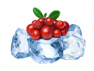 shutterstock 385260976